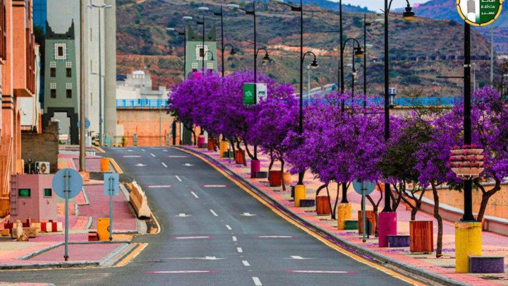 أبها تستعد لتكون أيقونة السياحة الجبلية في الشرق الأوسط