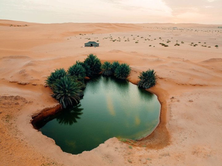 السعودية تطلق موسم “الواحات الخضراء” لتعزيز البيئية والتجارب الطبيعية الفريدة